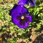 Pat Hanson - @pat.hanson.56 - Instagram