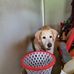 Patricia Arnett - Facebook