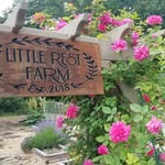 Patricia Bagley - @flowersandfrenchies - Instagram