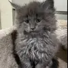 Pat Ballard - @pat.ballard0 - TikTok