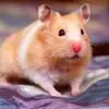 patbaney - @patbaney - TikTok