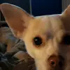 Patti Banta - @pattibanta - TikTok