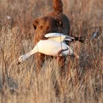 Pat Baughman - @snow.stoppers.1 - Instagram