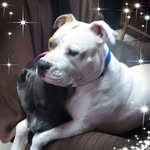 Pat Baxter - @pat.baxter.146 - Instagram