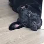 Pat Baxter - @patbaxter56 - Instagram