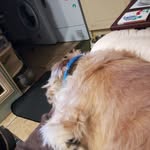 Pat Baxter - @pat.baxter.142687 - Instagram