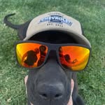 Pat Baxter - @fishchaser23 - Instagram