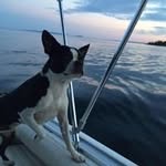 Pat Baxter - @carrierbaxter - Instagram