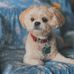 Pat Beall - Facebook
