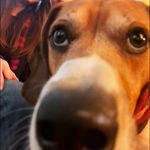 Patricia Beall Mollica - @trishmollica - Instagram