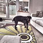 @pat_bean - Instagram