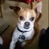 Pat Bean - @patbean2 - TikTok