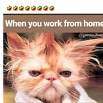 Pat Bean Fisher - @pat.b.fisher.7 - Instagram