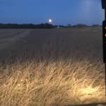 Pat Beck - @pat.beck.56 - Instagram