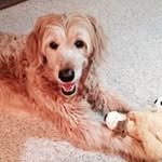 Pat Beck - @tri4life1010 - Instagram