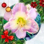 Pat Beck - @pat.beck.9469 - Instagram
