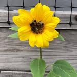 Pat Beck - @pat.beck.1466 - Instagram
