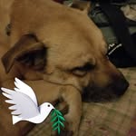 Pat Beck - @pat.beck.370 - Instagram