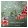 Patsy Benefield - @patsy.benefield - TikTok