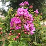 Pat Benjamin - @pben76 - Instagram