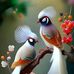 Bettie Patoo - Facebook