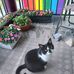 Pat Bethke - Facebook