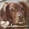 patriciabethke2 - @patriciabethke2 - TikTok