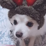 pat_bing_su - @pat_bing_su - Instagram