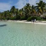Patricia Bisson - @patricia.bisson.12 - Instagram