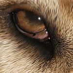 Patrick Bisson - @bisson_pat - Instagram
