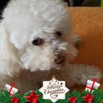 Pat Blackmon - @pat.blackmon.92 - Instagram