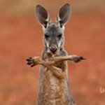 Pat Bloom - @patbloom007 - Instagram