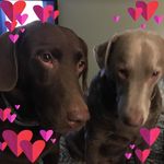 Pat Bluman - @patbluman - Instagram