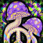 Pat Boles - Facebook