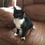 Pat Bolling - @pattybug58 - Instagram