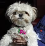 Pat Book - Facebook