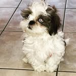 Pat Ann Borders - @pat.borders - Instagram