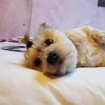 Pat Bott - @bottpat - Instagram