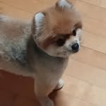 윤도영 - @pat_bottle1 - Instagram