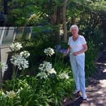 Pat Bottomley - @patbottomley - Instagram