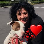 Patty Bottari - @patbottari - Instagram