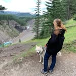 Pat Boucher - @patschambersboucher - Instagram
