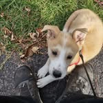 Pat Boucher - @pat.boucher - Instagram