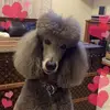 pattyboucher1 - @pattyboucher1 - TikTok