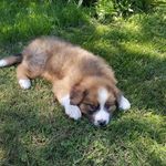 Pat Boudreau - @denimgoose2017 - Instagram