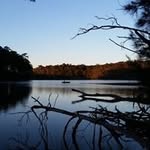 Pat Bourke - @pat.bourke.37 - Instagram