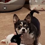 Pat Bouton - @pattbouton - Instagram