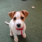 Pat Bowers - @patbowers166 - Instagram