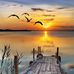 Pat Bowie - Facebook