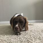 Pat Bowles - @pbowles09 - Instagram
